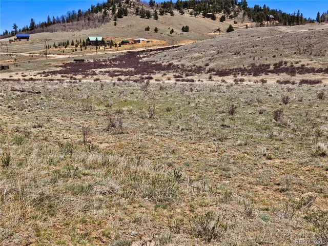 a view of a field with trees