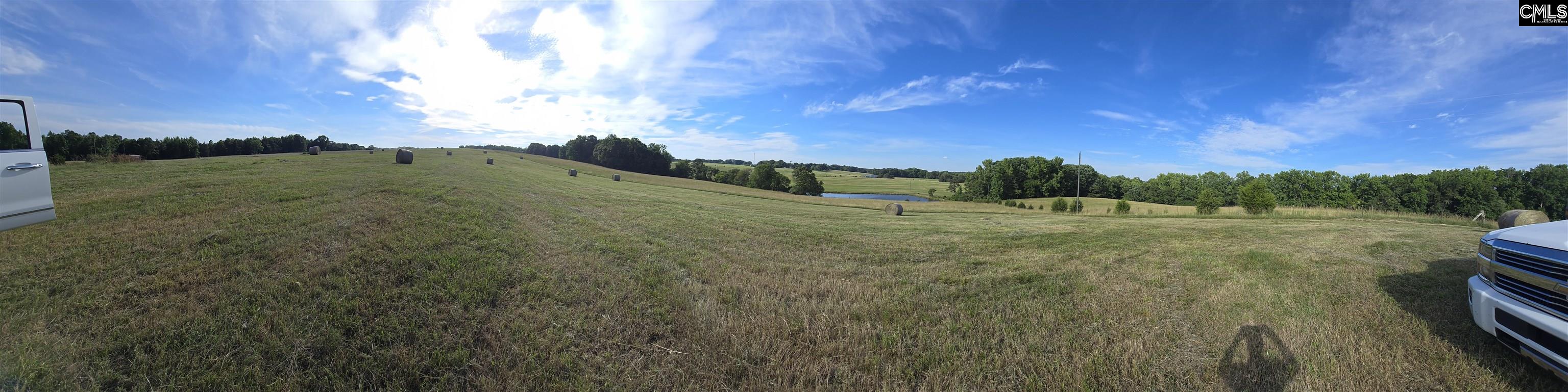 542 Pea Ridge Highway Jonesville, SC 29353 - Photo 2 of 72