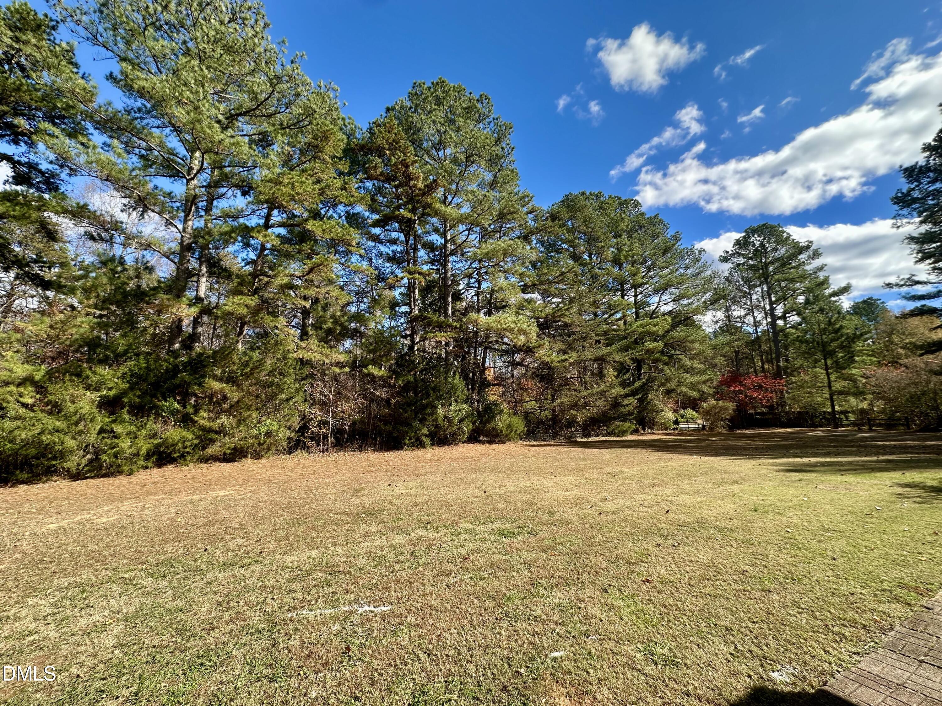 8205 Old Switchboard Road Snow Camp, NC 27349 - Photo 20 of 25 a view of a yard with an tree
