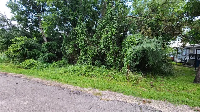 a view of a yard with plants and trees