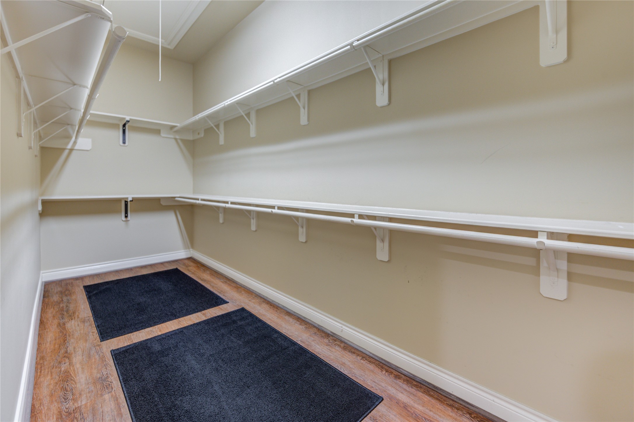 25831 Morgan Springs Spring, TX 77373 - Photo 38 of 49 a view of an empty walk in closet