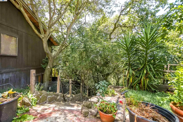 a view of a patio with dining table and chairs with a large tree