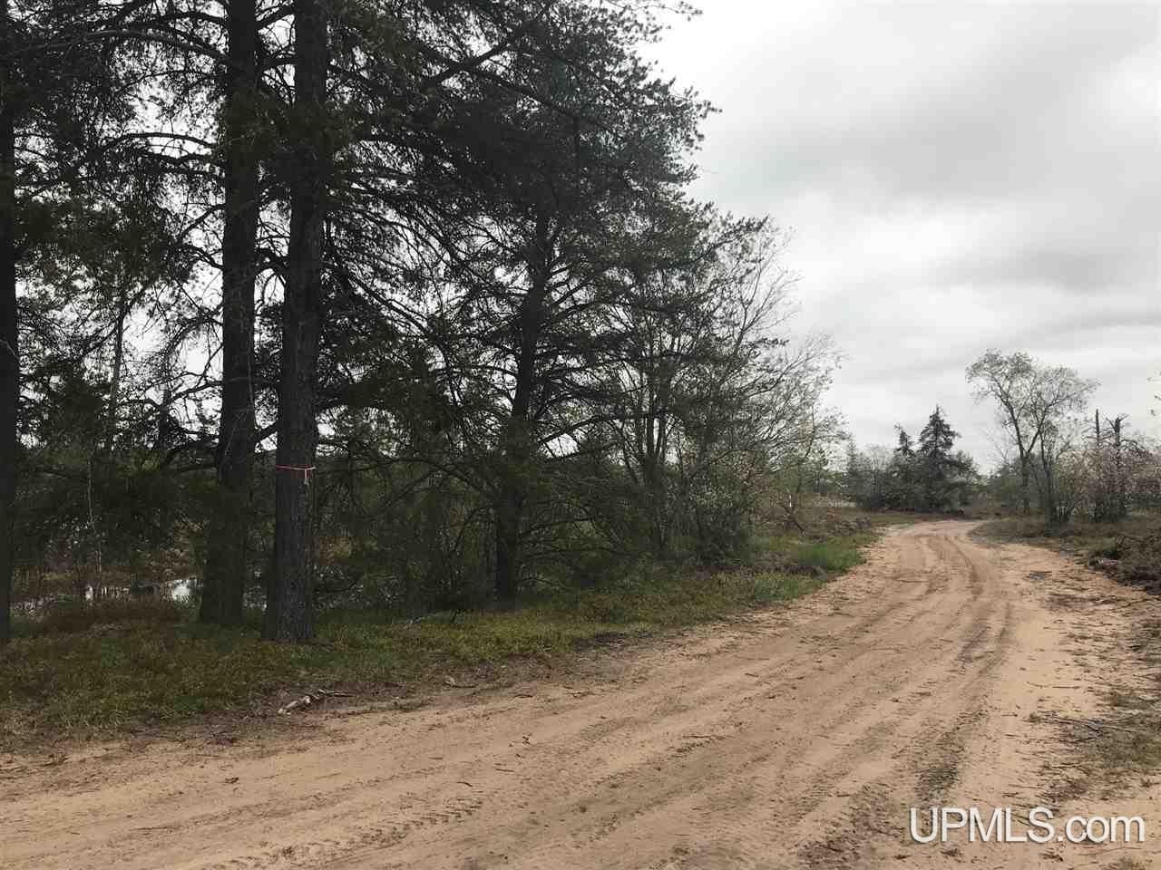 Parcel 3-off Parcel 3-off Johnson Lake Road Gwinn, MI 49841 - Photo 2 of 9