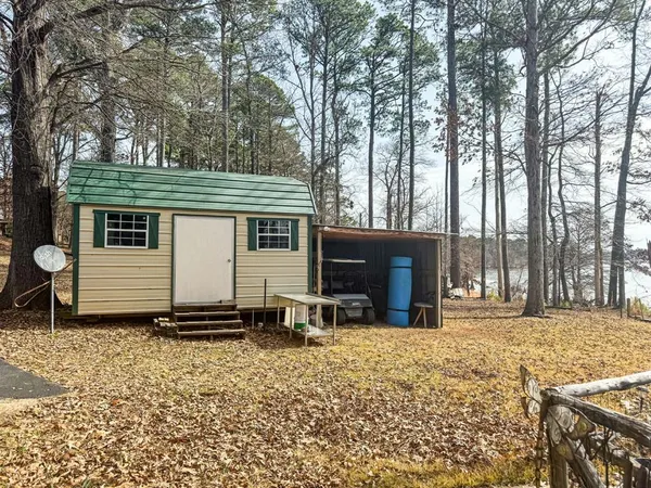 a view of a yard with trees
