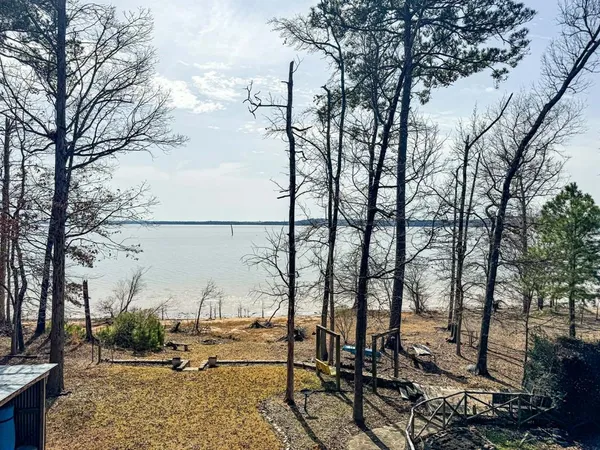 a view of road with trees