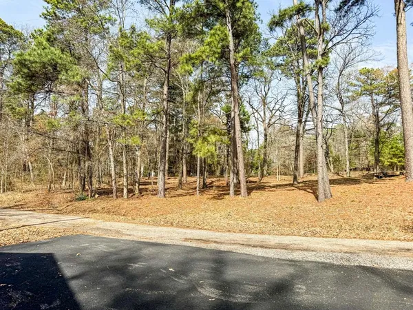 a view of outdoor space with trees