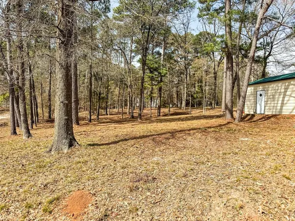 a view of a backyard with large trees
