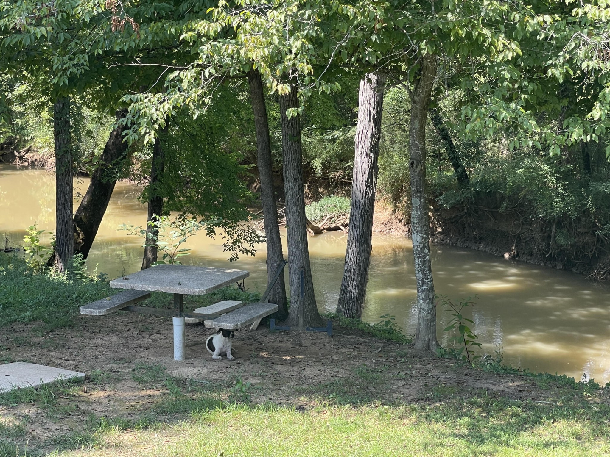147 Chestuee Crossing Road Calhoun, TN 37309 - Photo 2 of 23 Gallery Image 2