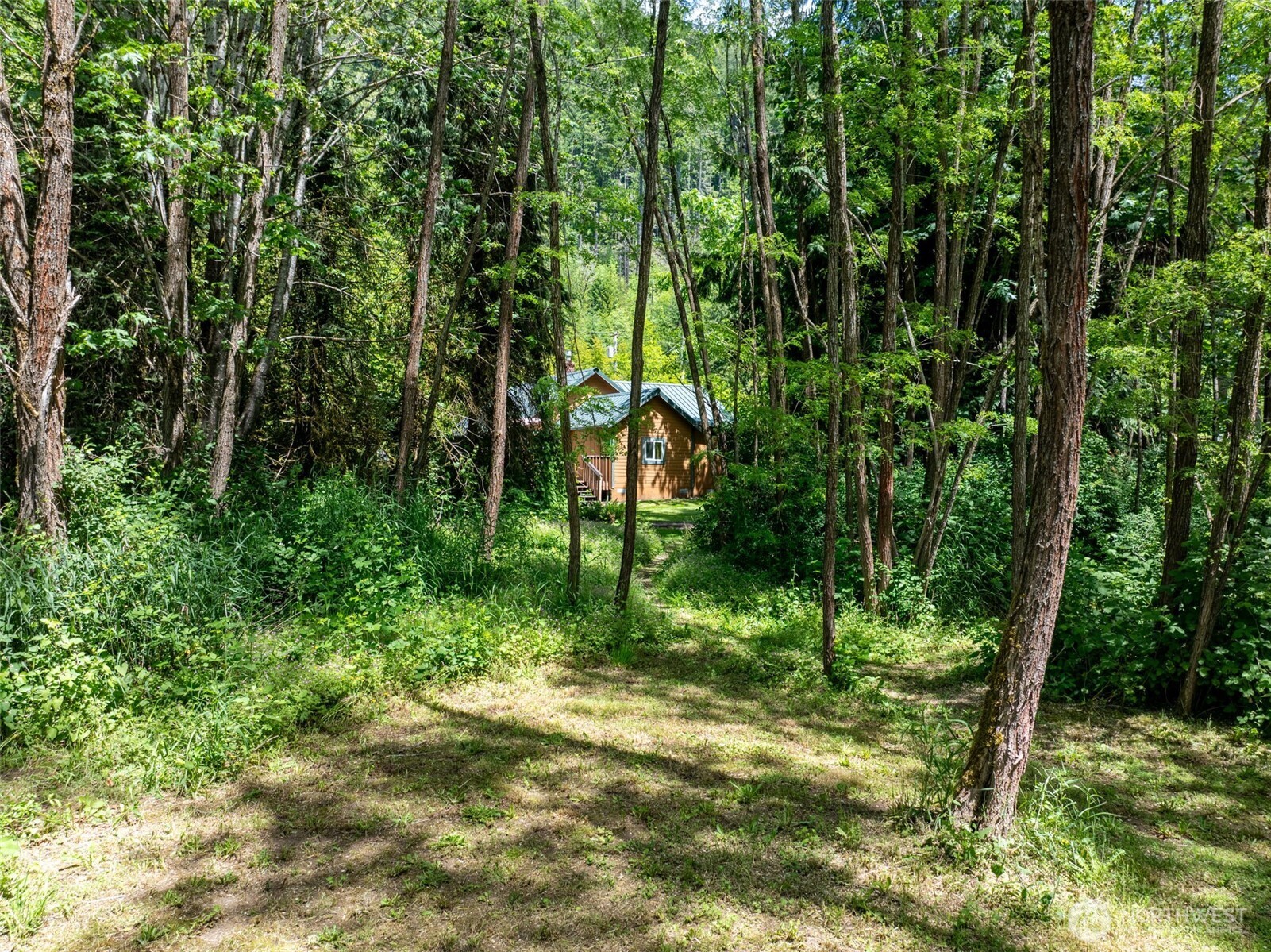 1364 Silverbrook Road Randle, WA 98377 - Photo 17 of 40