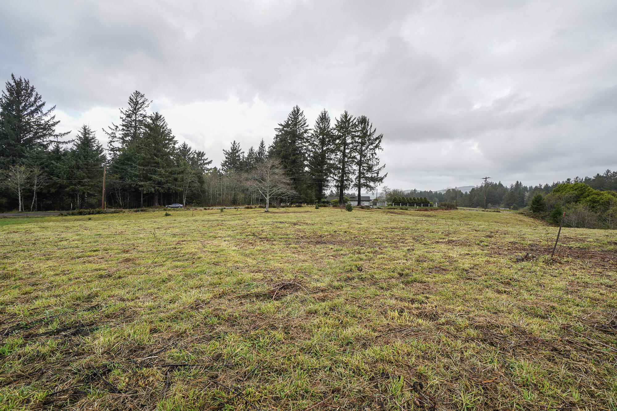 Lot 101 Whiskey Creek Road Tillamook, OR 97141 - Photo 9 of 12 9