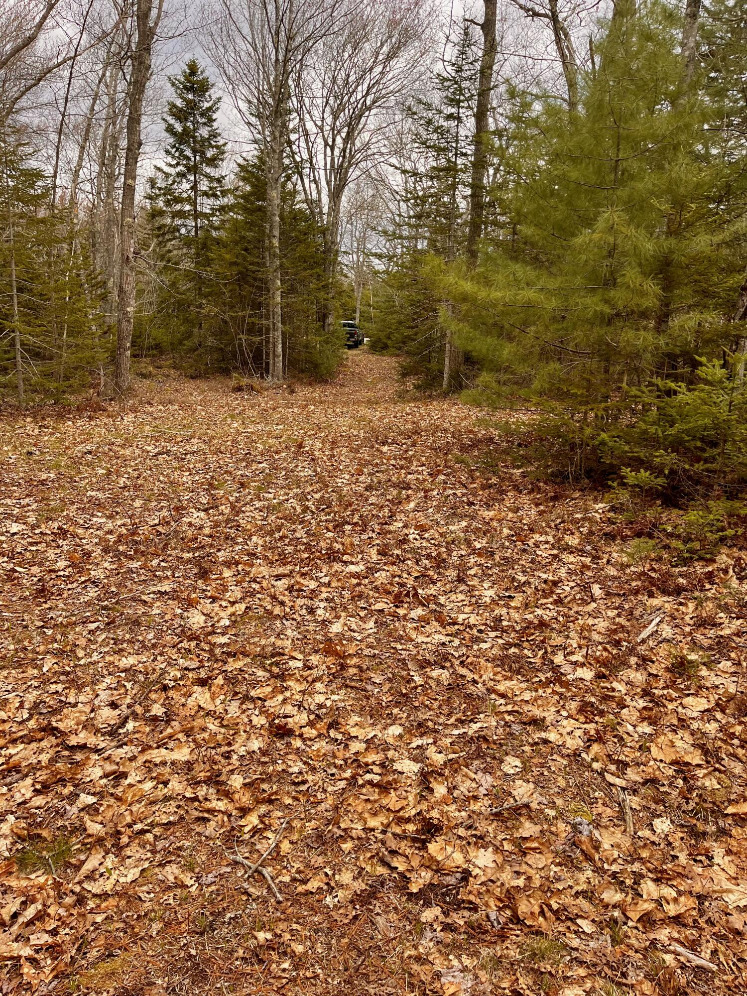 92 L Russel Road Chamberlain, ME 04541 - Photo 9 of 21
