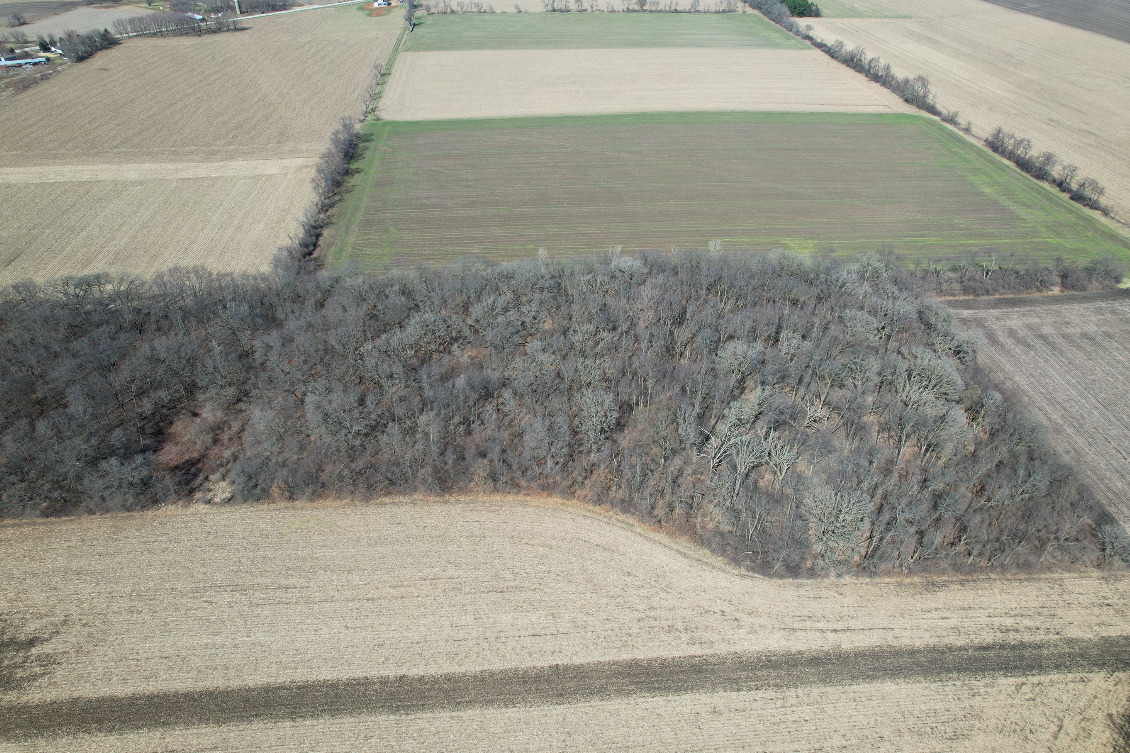 23200 Streit Road Harvard, IL 60033 - Photo 12 of 45 a view of a dry yard