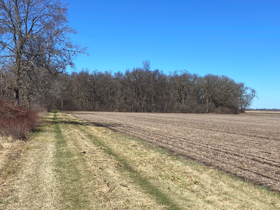 23200 Streit Road Harvard, IL 60033 - Photo 18 of 45 a view of mountain view with trees