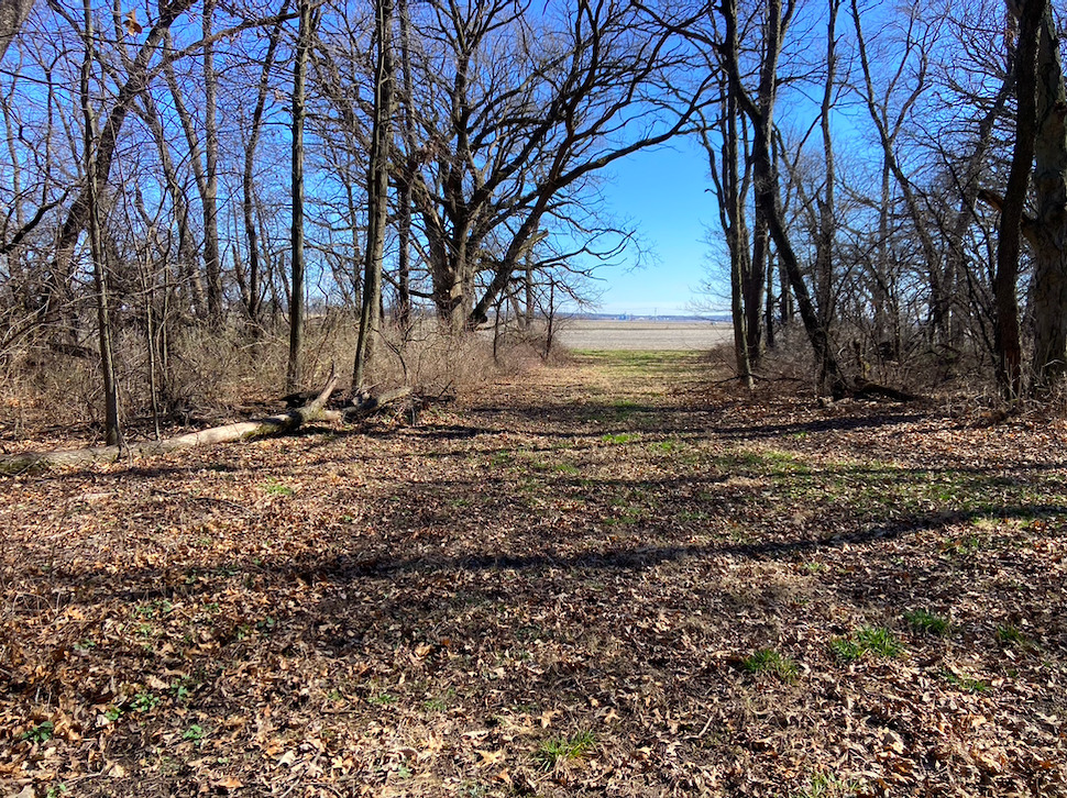 23200 Streit Road Harvard, IL 60033 - Photo 24 of 45 a view of outdoor space with trees