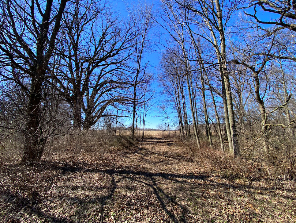23200 Streit Road Harvard, IL 60033 - Photo 25 of 45 a backyard of a house with lots of green space