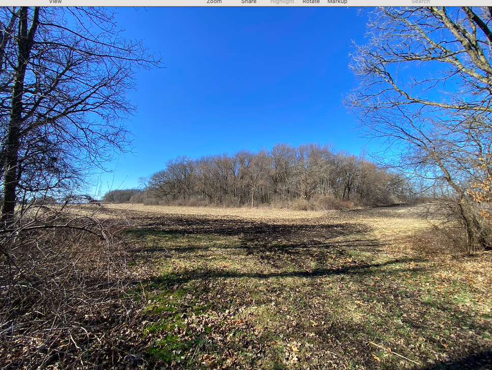 23200 Streit Road Harvard, IL 60033 - Photo 31 of 45 a view of a dry yard with wooden fence