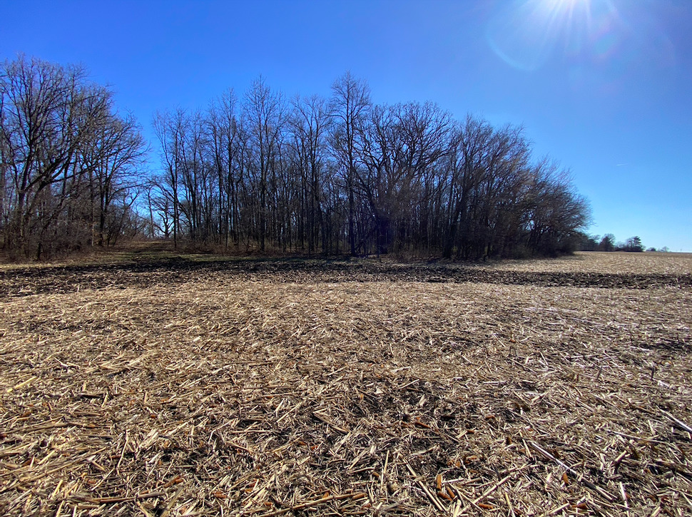 23200 Streit Road Harvard, IL 60033 - Photo 32 of 45 a view of outdoor space