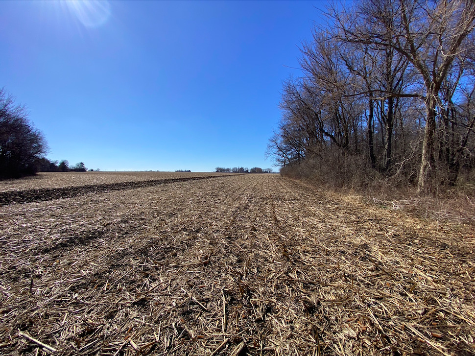 23200 Streit Road Harvard, IL 60033 - Photo 33 of 45 a view of a field with trees in the background