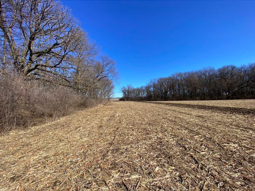 23200 Streit Road Harvard, IL 60033 - Photo 35 of 45 a view of a field with trees in the background
