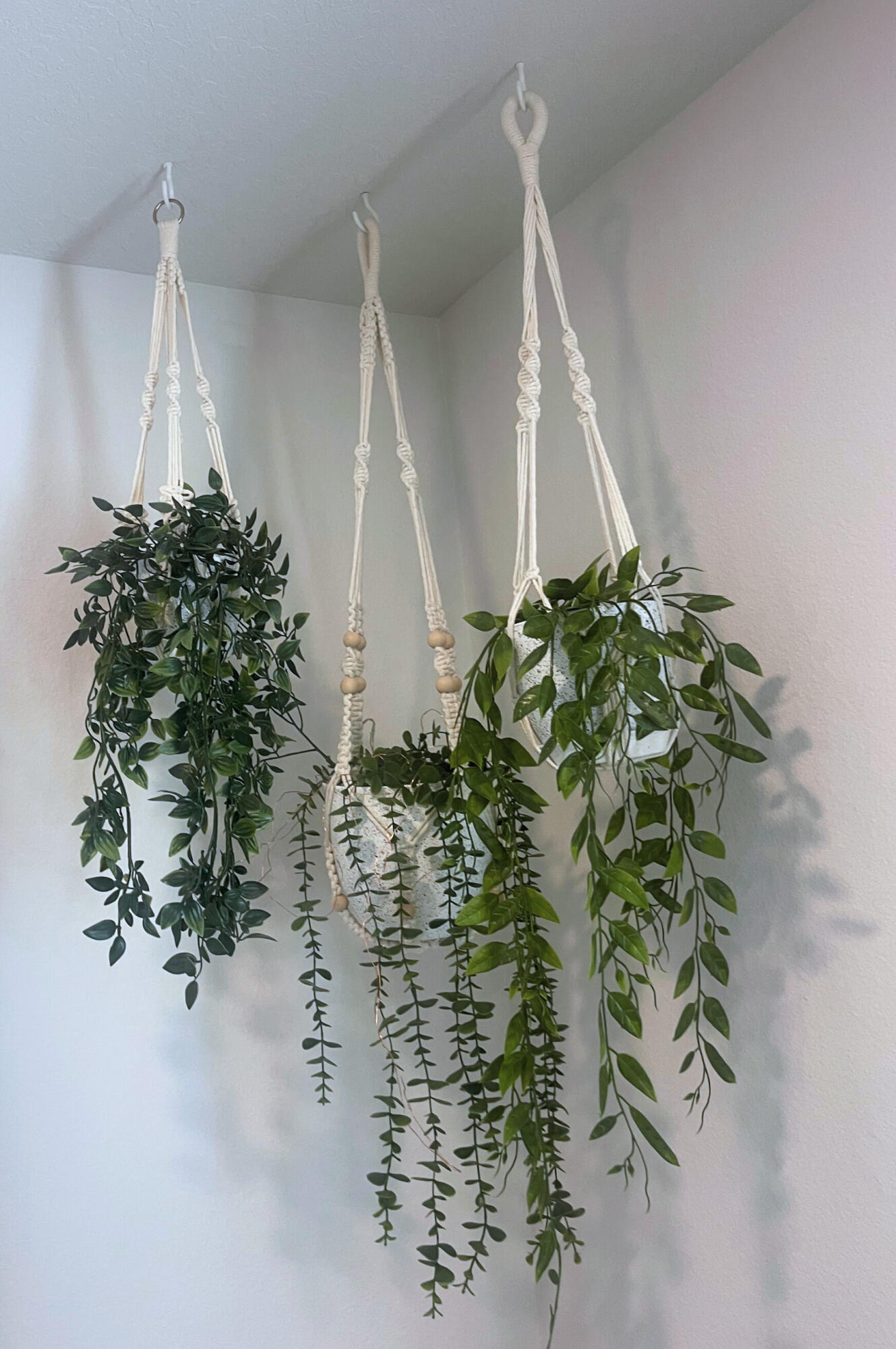 809 Otto Loop Crestview, FL 32539 - Photo 14 of 26 a view of a plant