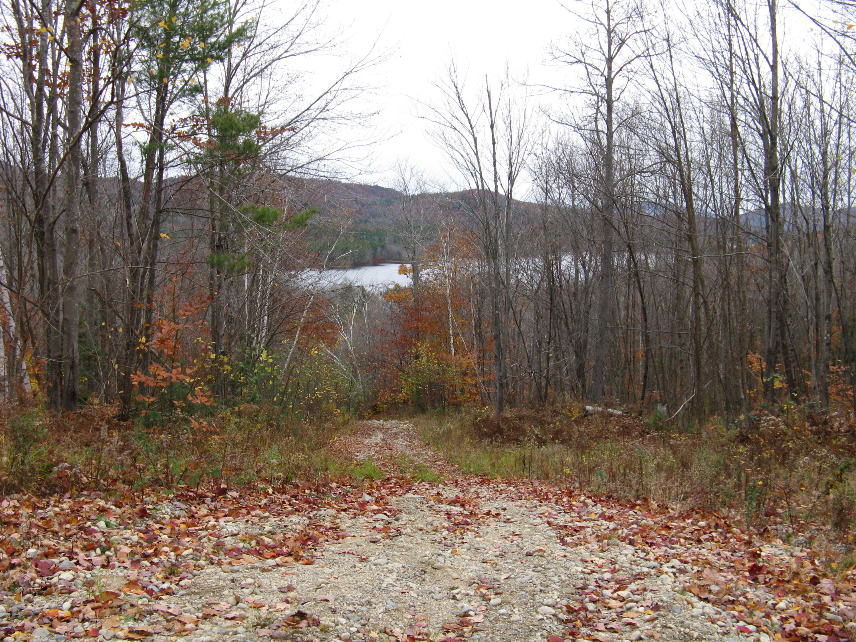 04 Map Road Peru, ME 04290 - Photo 18 of 18 IMG_2593