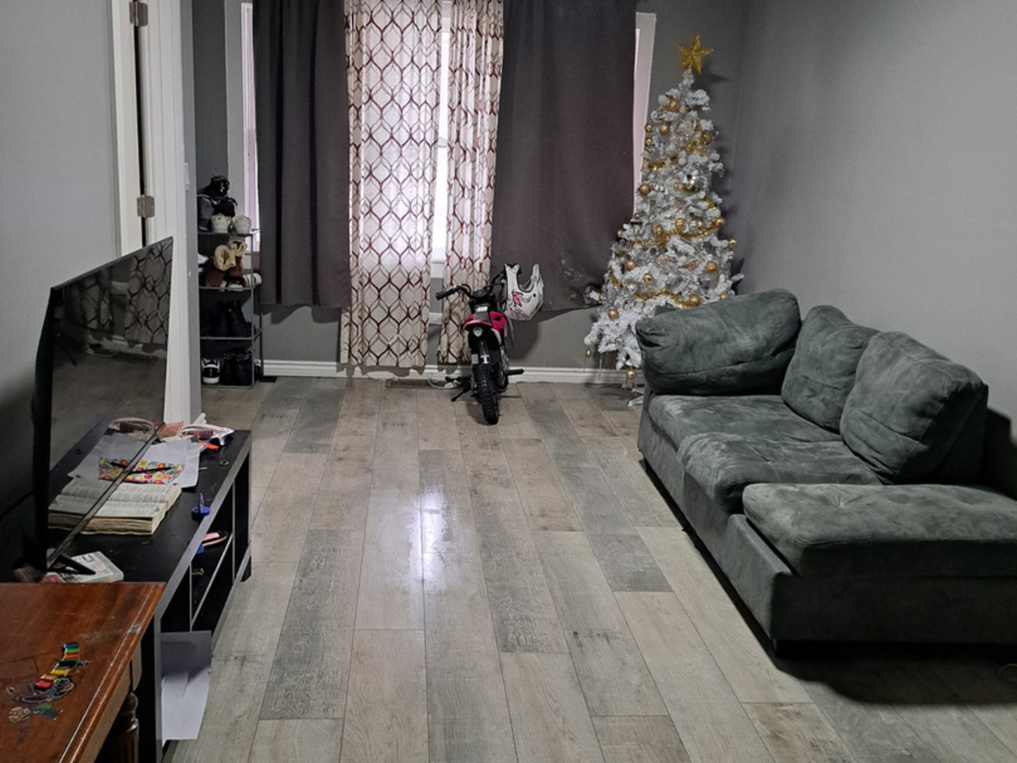 450 West 46th Place Chicago, IL 60609 - Photo 3 of 9 a living room with furniture and a large window