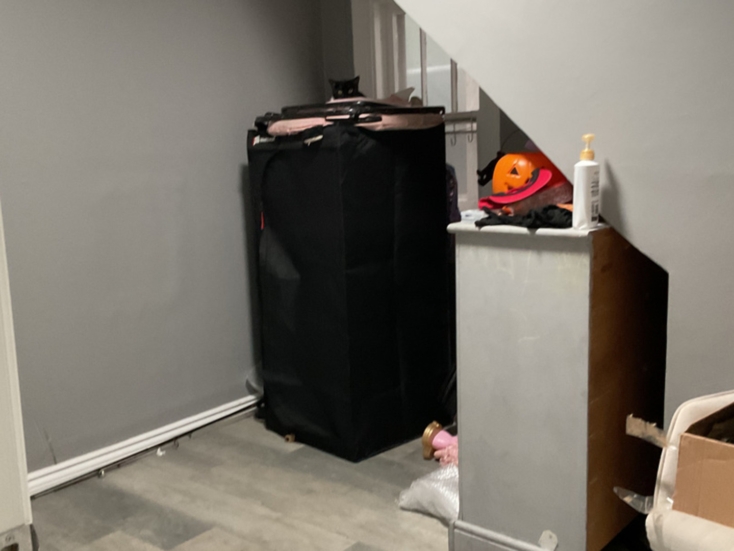 450 West 46th Place Chicago, IL 60609 - Photo 5 of 9