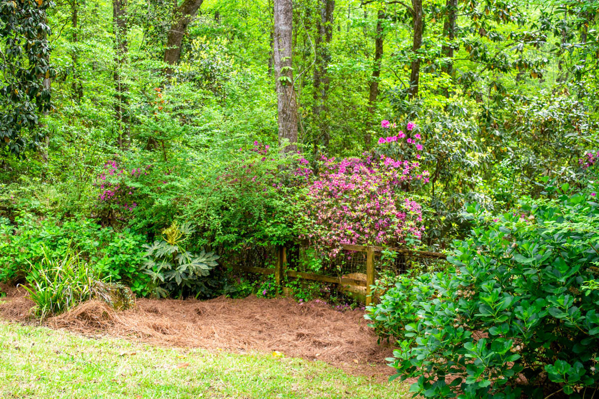 703 Churchill Road Walterboro, SC 29488 - Photo 32 of 35 _DSC1528