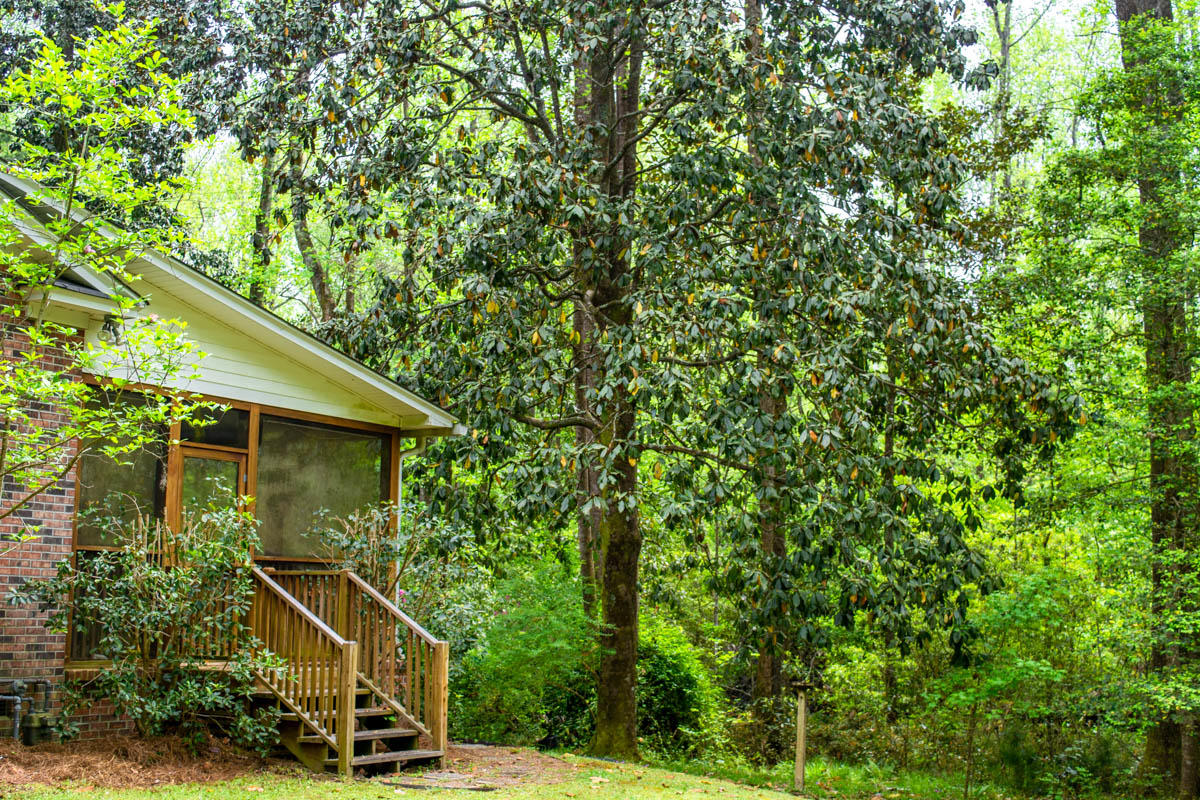 703 Churchill Road Walterboro, SC 29488 - Photo 6 of 35 _DSC1524