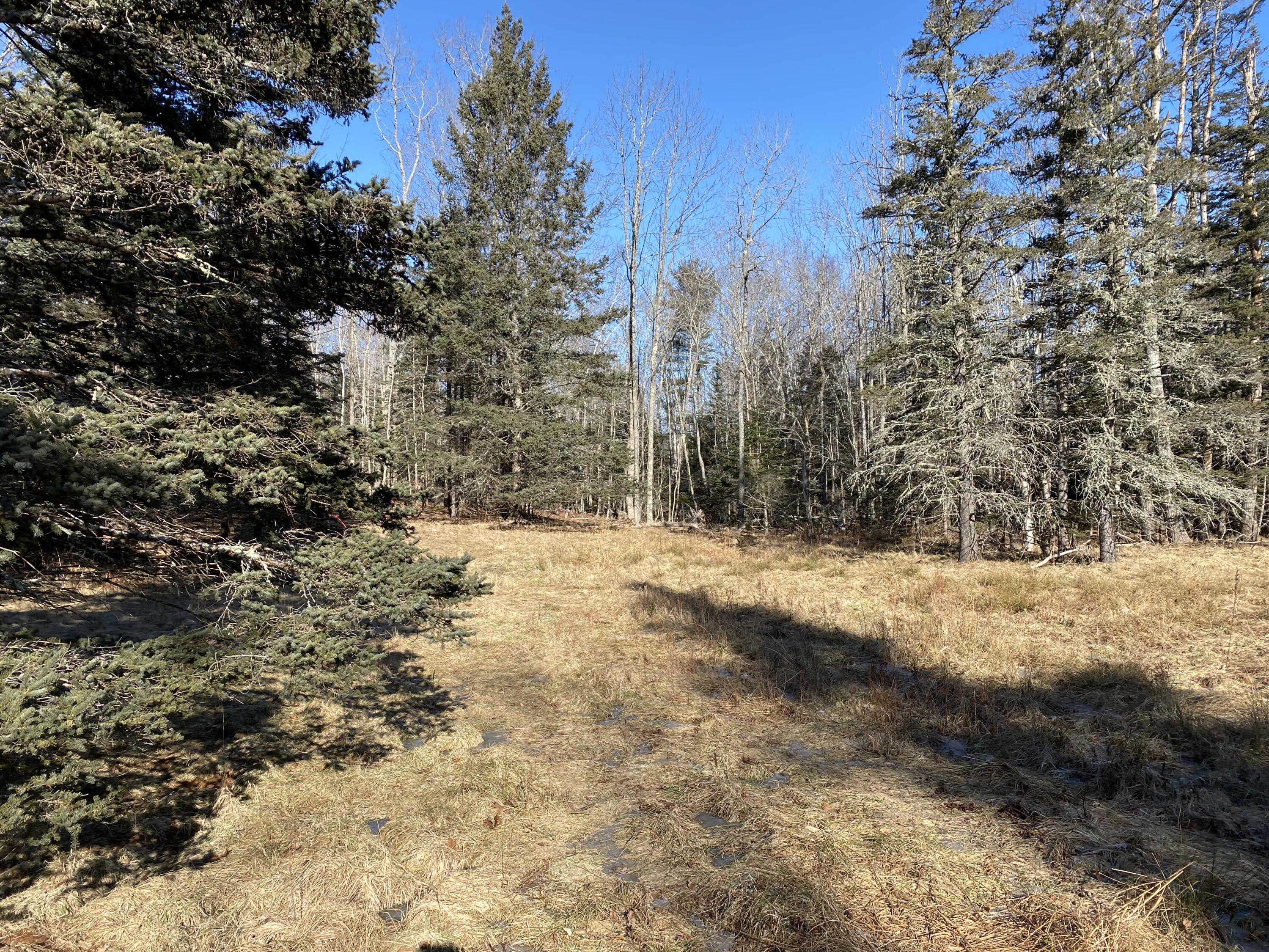 0 West Bay Road Islesboro, ME 04848 - Photo 58 of 60 Meadow path