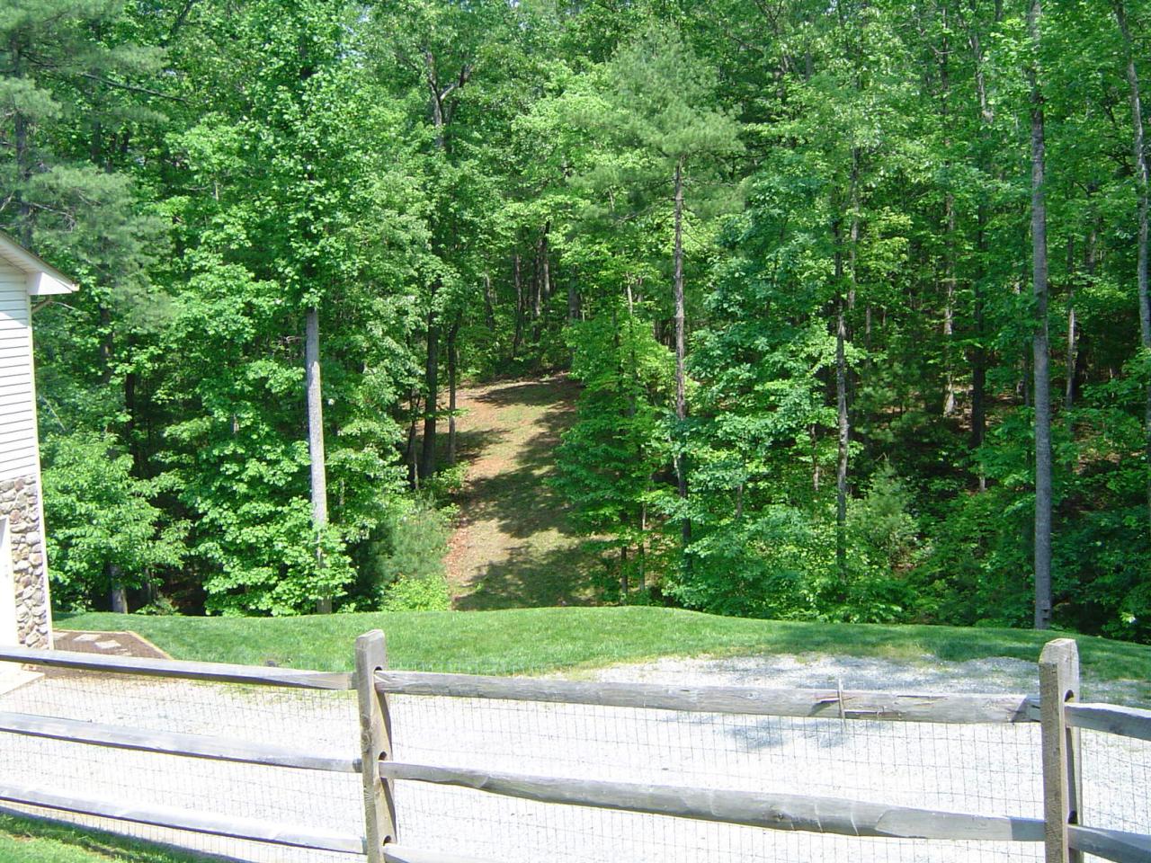 54 Mt Airy Road Hardy, VA 24101 - Photo 4 of 24 4