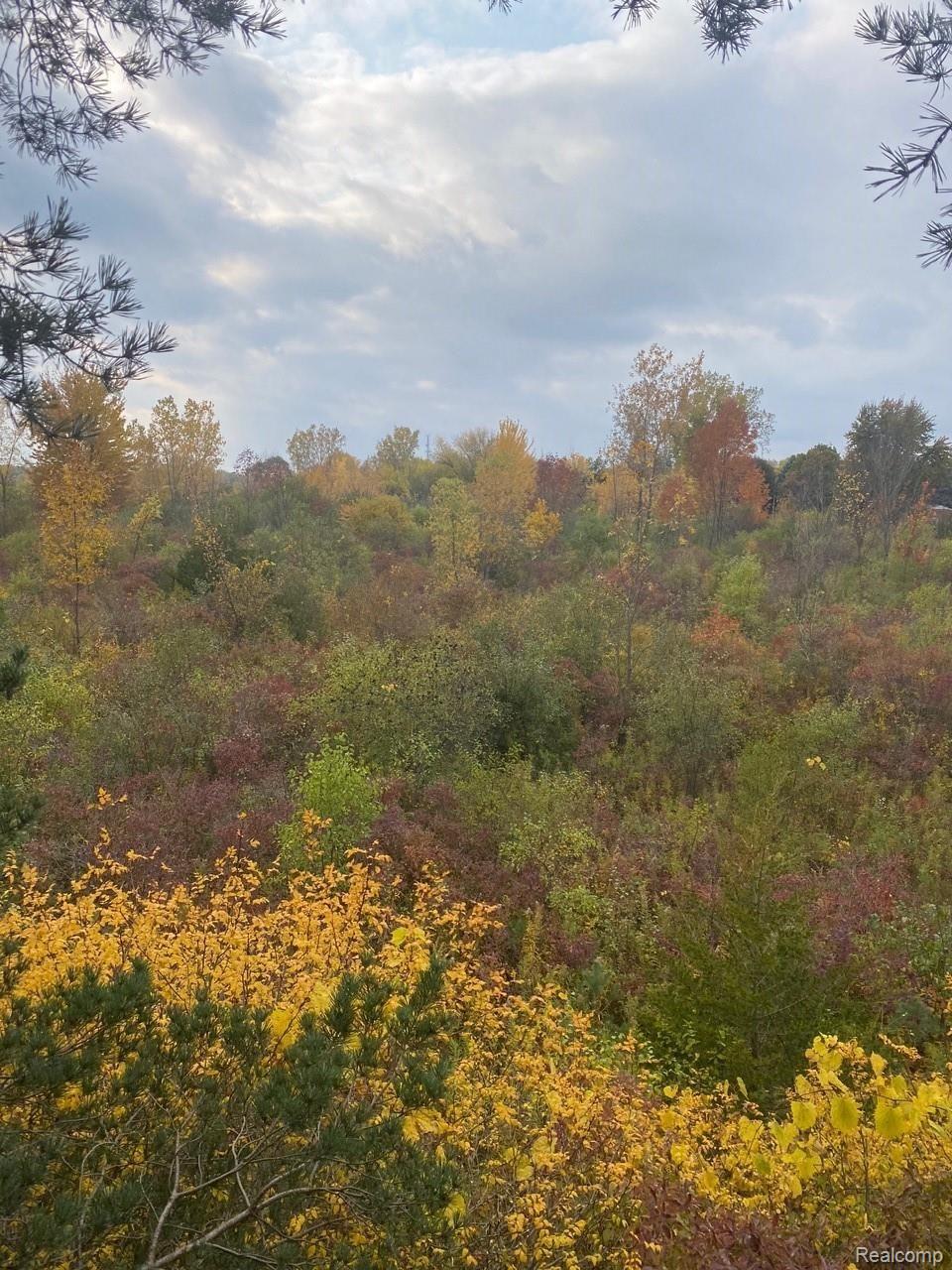 0 Eight Eight Mile Road Northville, MI 48167 - Photo 10 of 11 10.jpg