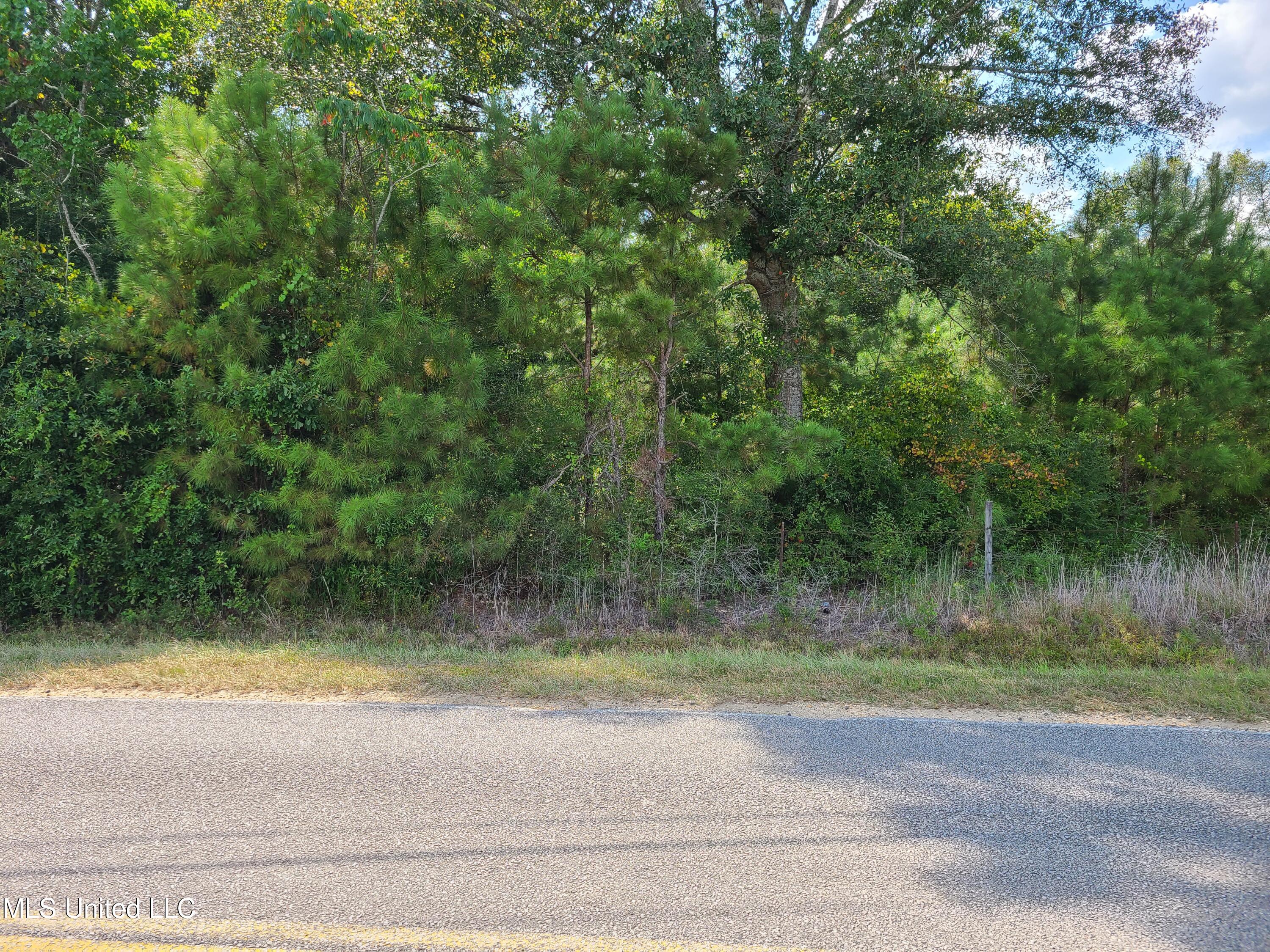 Nhn George Wise Road Carriere, MS 39426 - Photo 2 of 5 20240827_145238 (1)