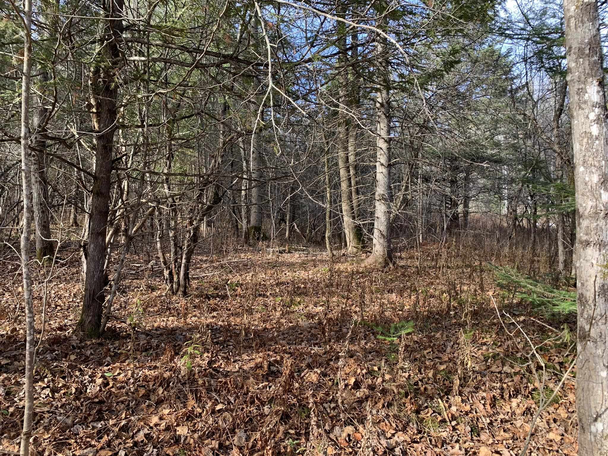 790 Wheelock Road Danville, VT 05828 - Photo 25 of 35 Gallery Image 25