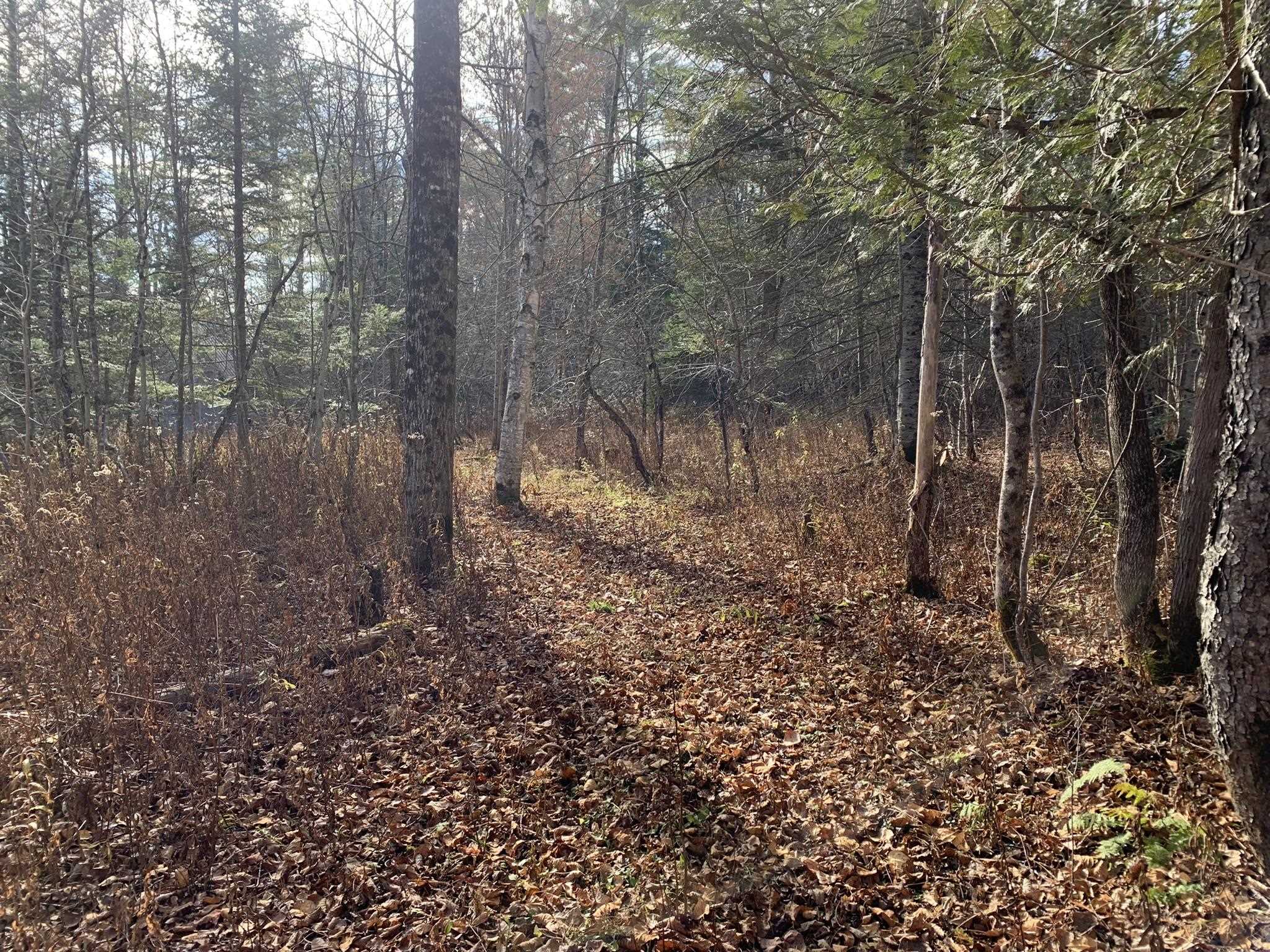 790 Wheelock Road Danville, VT 05828 - Photo 26 of 35 Gallery Image 26