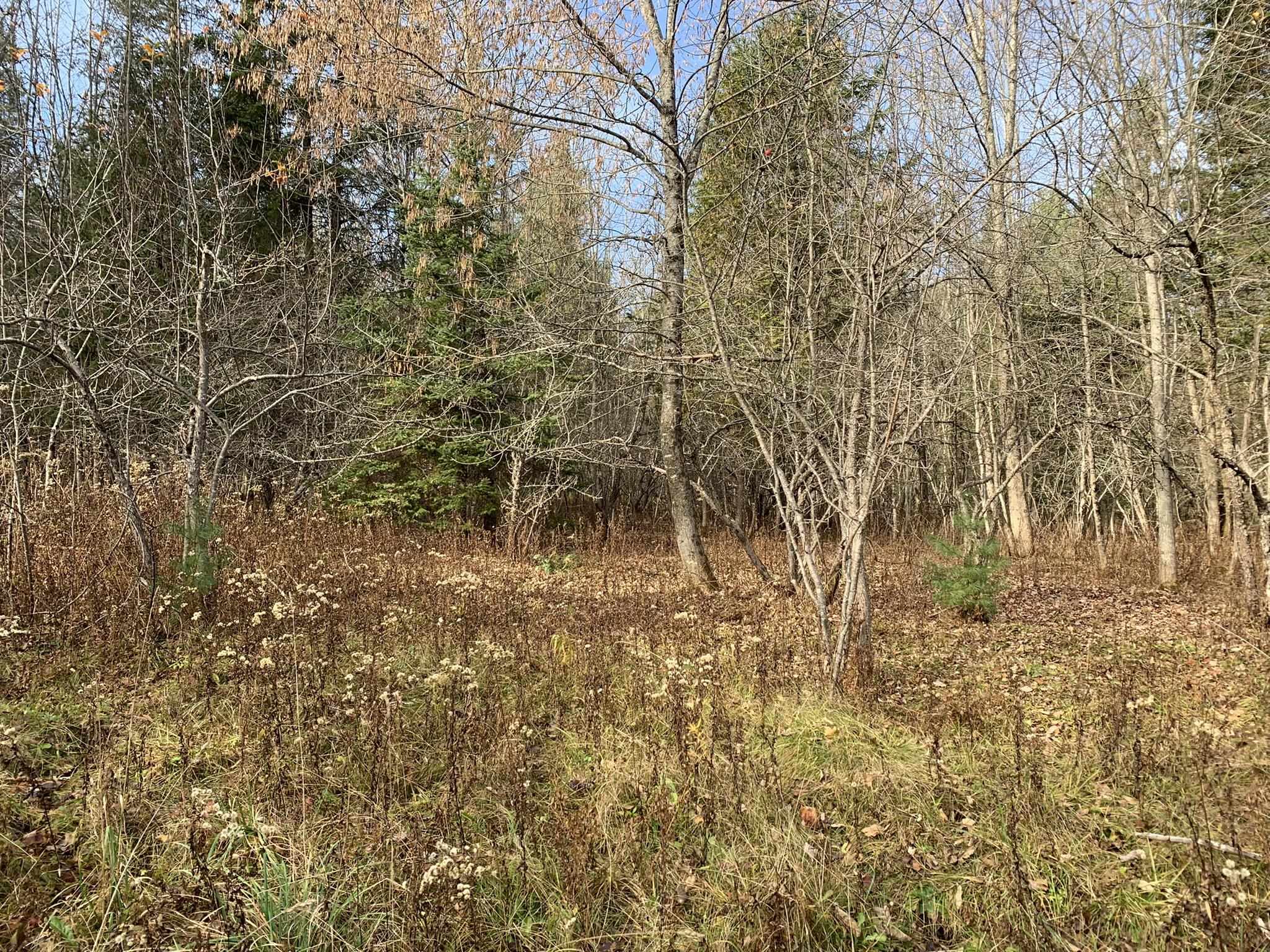 790 Wheelock Road Danville, VT 05828 - Photo 28 of 35 Gallery Image 28