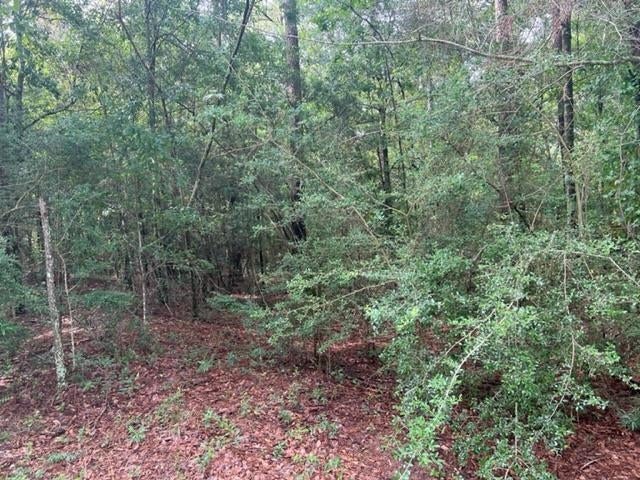 Tbd Shannan Road Opp, AL 36467 - Photo 10 of 20 Gallery Image 10