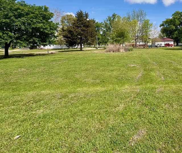 211 South Appleton Avenue Amboy, IL 61310 - Photo 1 of 4