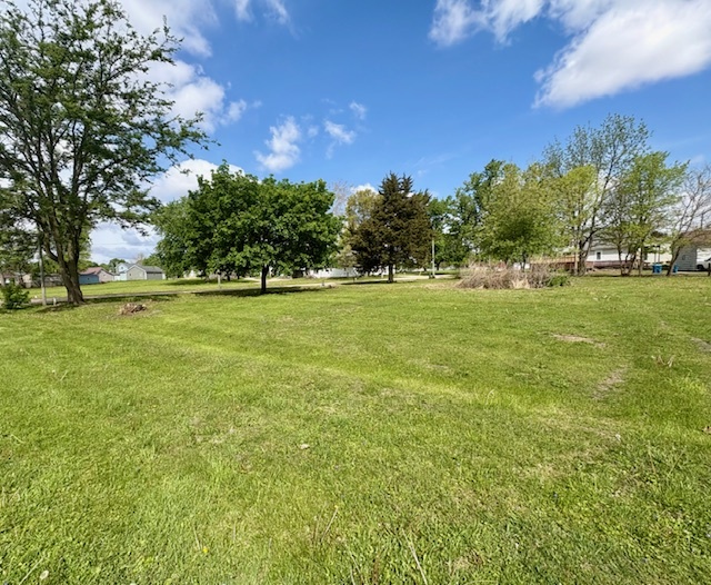 211 South Appleton Avenue Amboy, IL 61310 - Photo 2 of 4
