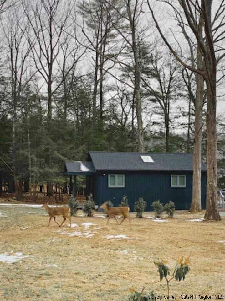 172 Crystal Point Road Cairo, NY 12431 - Photo 32 of 35 a front view of a house with a yard and trees