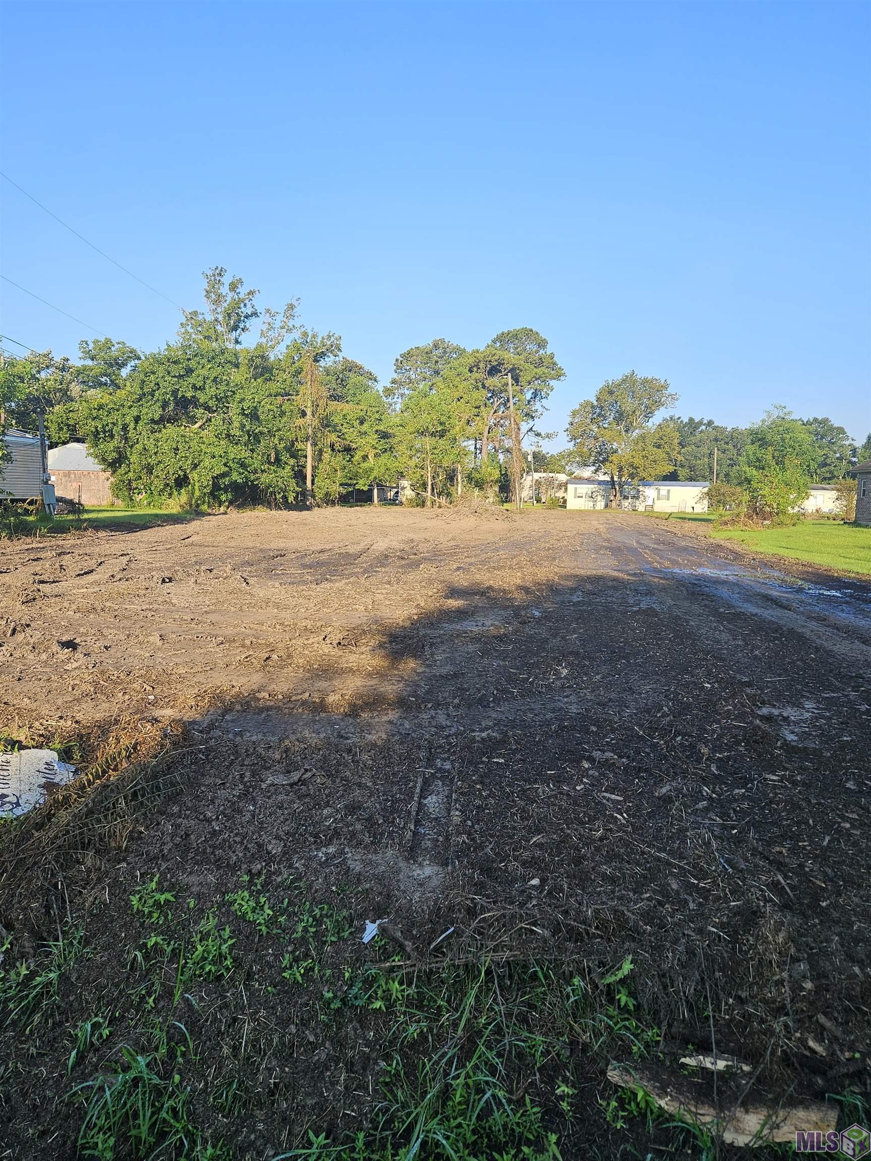 10495 Savoy Road St. Amant, LA 70774 - Photo 2 of 7