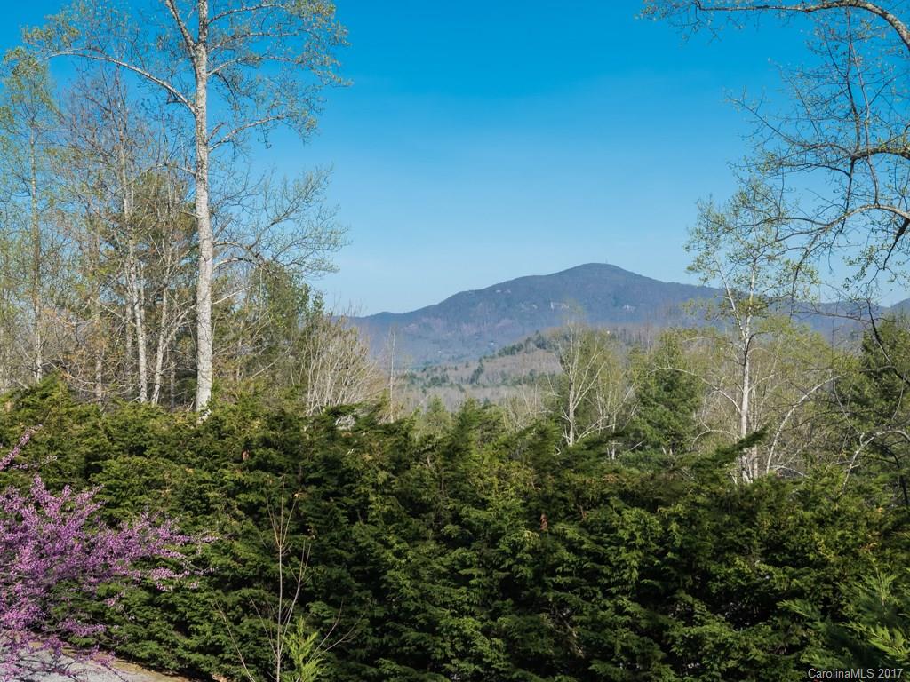 128 Sharon Ridge Court Fairview, NC 28730 - Photo 4 of 24 Gallery Image 4