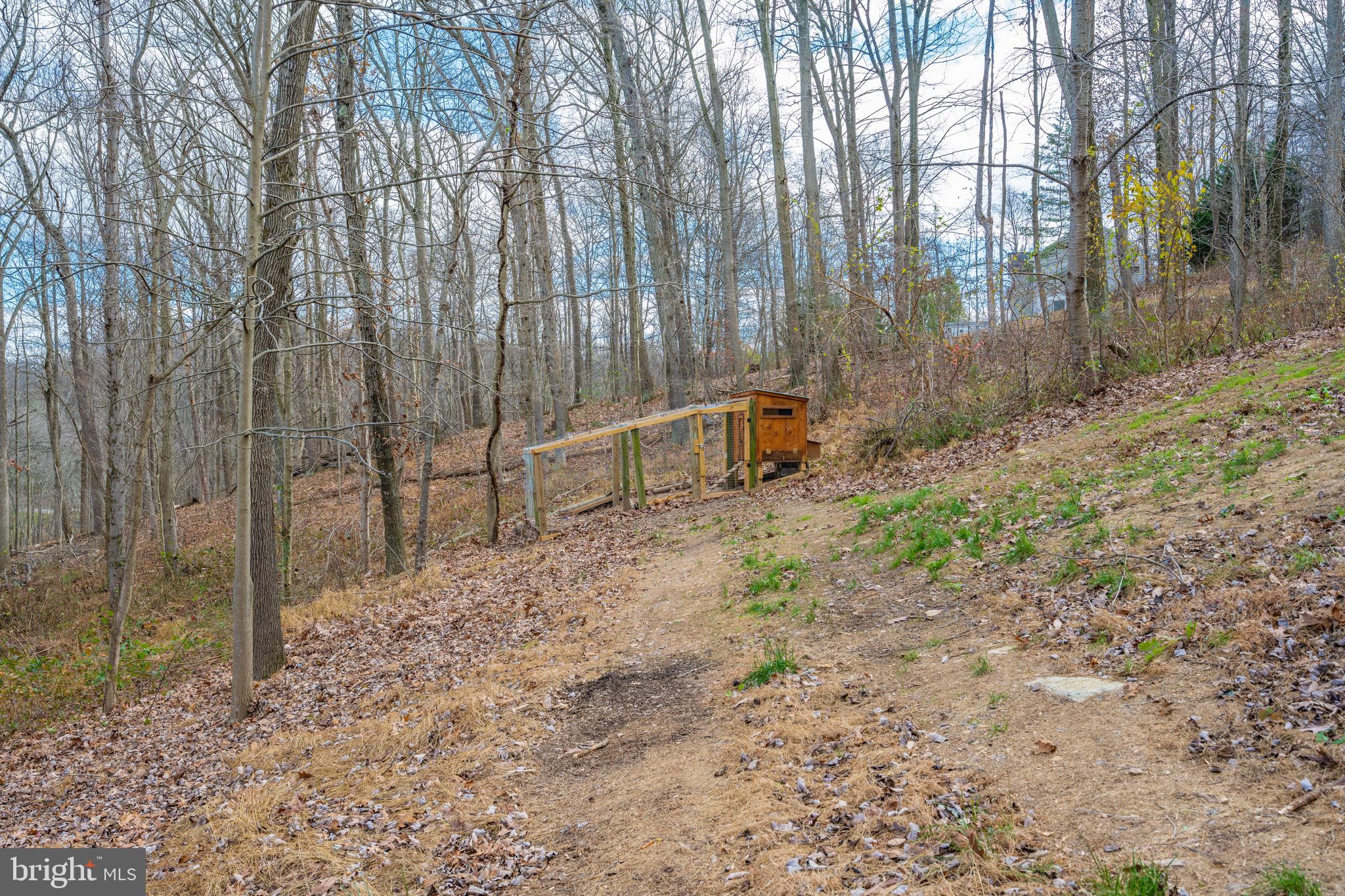 3609 Roop Road New Windsor, MD 21776 - Photo 63 of 72 Private drive to chicken coop