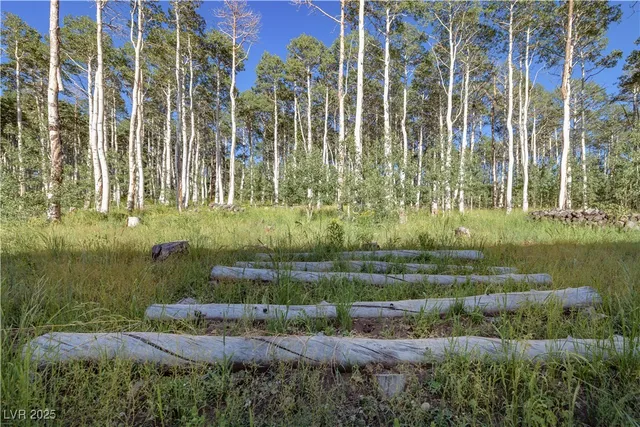 $950,000 | 1458 West 6400, Cedar City, UT 84720