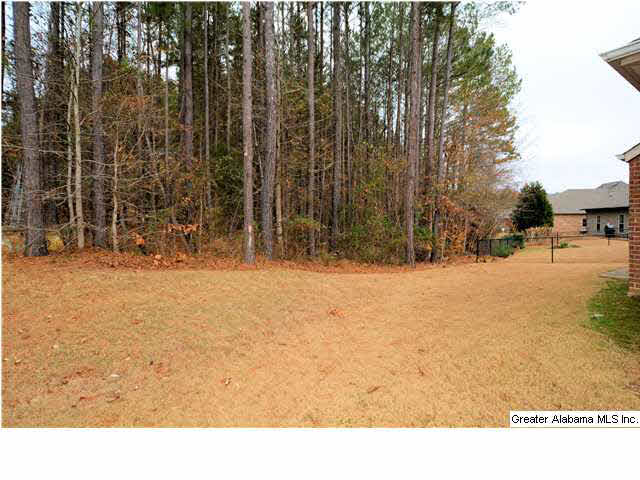 1103 Weybridge Road Pelham, AL 35124 - Photo 6 of 32