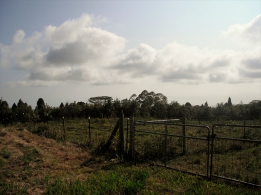 70 B North Road Mountain View, HI 96771 - Photo 2 of 25 Gallery Image 2