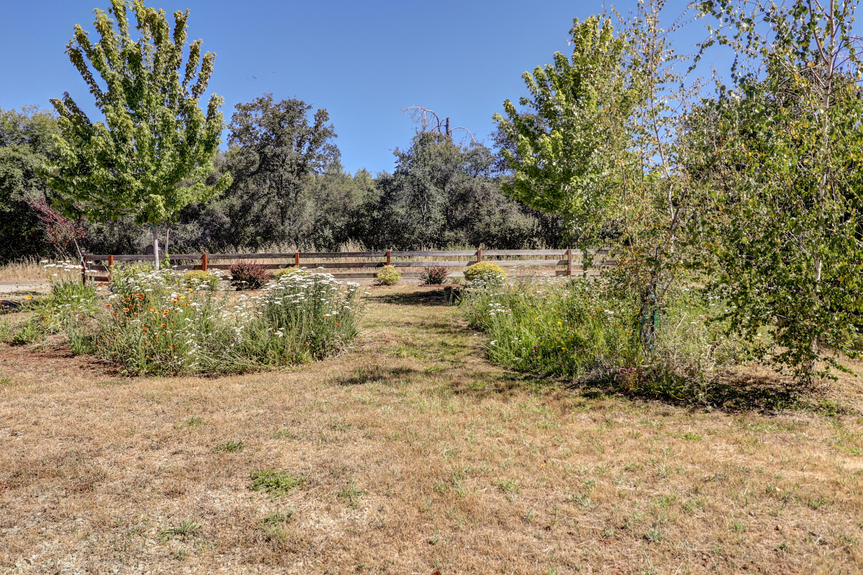 5094 Wilson Hill Road Manton, CA 96059 - Photo 29 of 35 BACK OF HOUSE PROPERTY