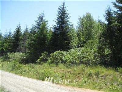 0 Lot 1 Off Filbert Road Cle Elum, WA 98922 - Photo 1 of 1