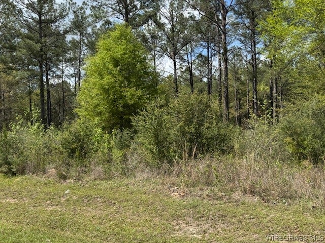 Lot 97 Harbor Road Andalusia, AL 36421 - Photo 2 of 7 Gallery Image 2