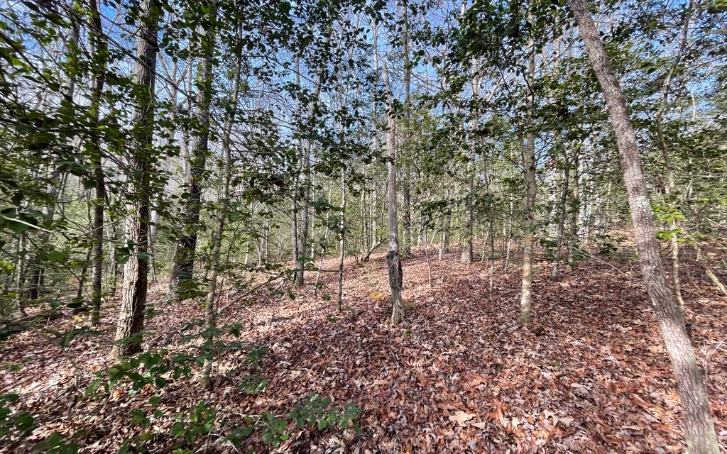 5.9-ac Voylestown Road Morganton, GA 30560 - Photo 13 of 22 Additional View